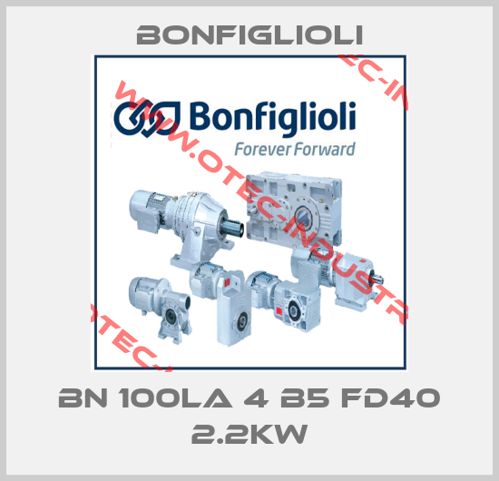 BN 100LA 4 B5 FD40 2.2kW-big