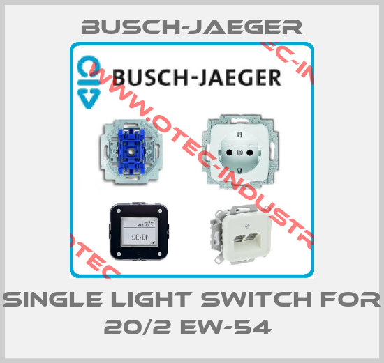 Single light switch for 20/2 EW-54 -big