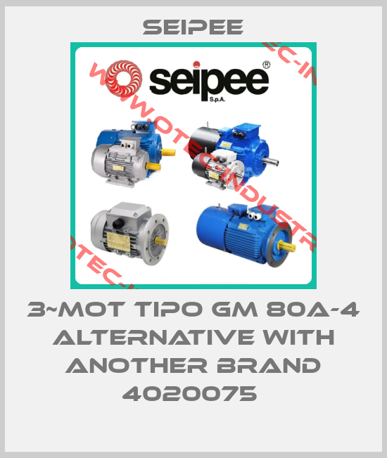 3~MOT TIPO GM 80a-4 alternative with another brand 4020075 -big