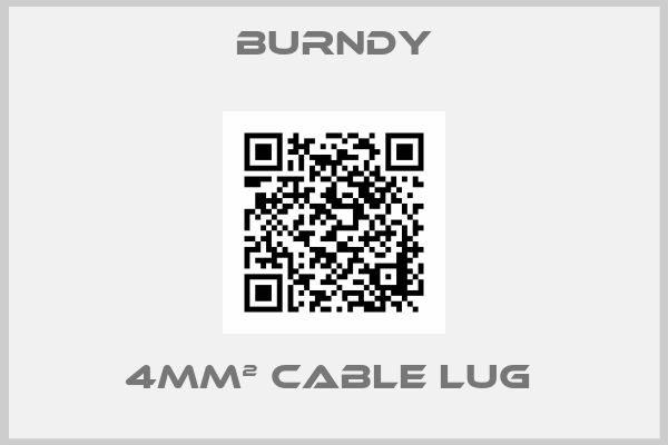 4mm² cable lug -big