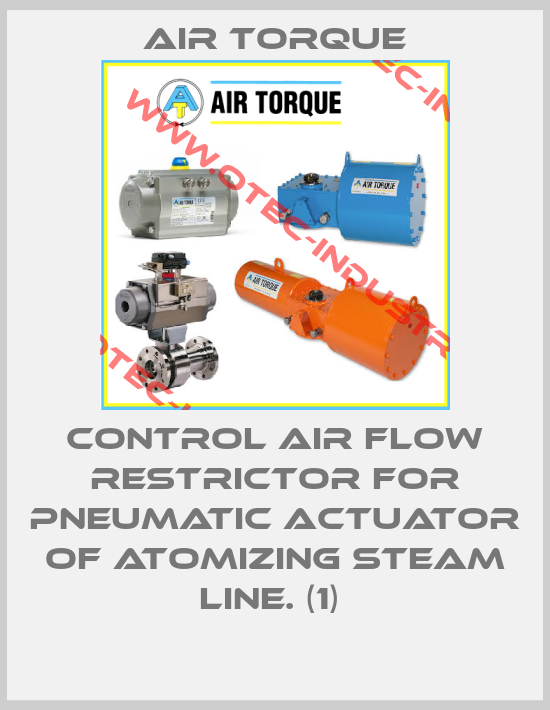 CONTROL AIR FLOW RESTRICTOR FOR PNEUMATIC ACTUATOR OF ATOMIZING STEAM LINE. (1) -big