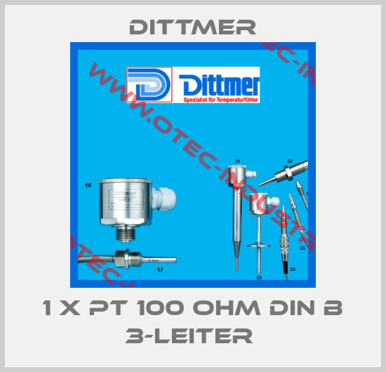 1 x PT 100 Ohm DIN B 3-Leiter -big