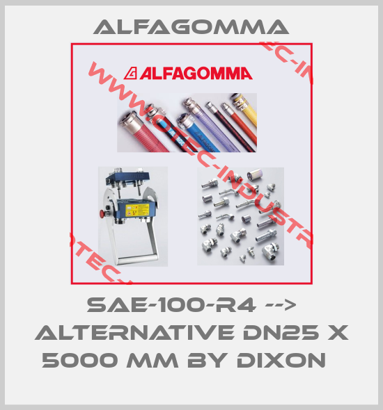SAE-100-R4 --> alternative DN25 x 5000 mm by Dixon  -big