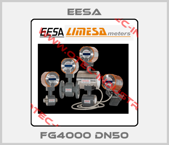 FG4000 DN50-big