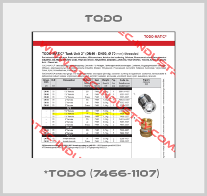*TODO (7466-1107) -big